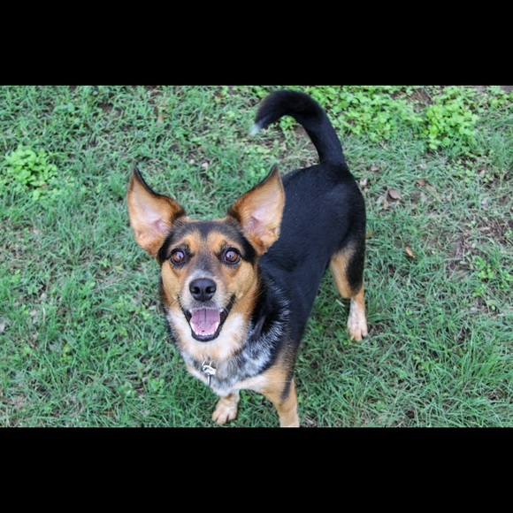 Meet your Posher, Hannah - Picture 2 of 5